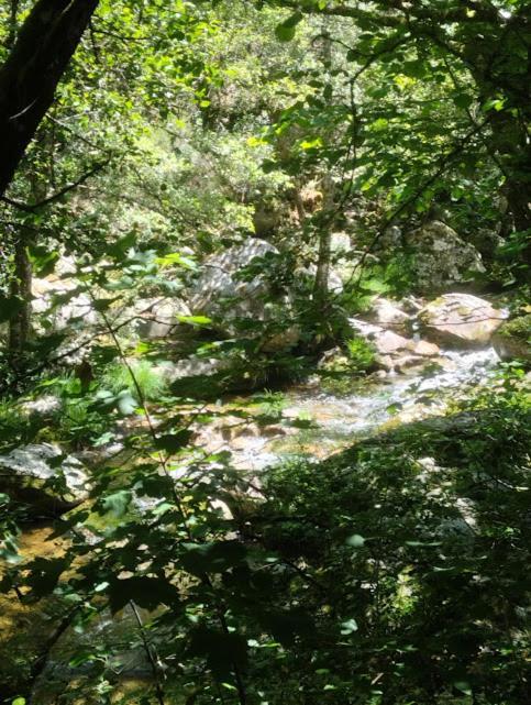 Holiday home O Recuncho Da Isa - Ribeira Sacra Pereiro de Aguiar